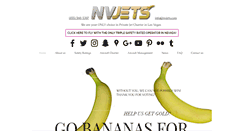 Desktop Screenshot of nvjets.com